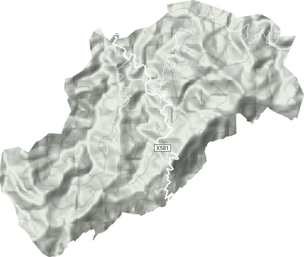 花山林場地形圖