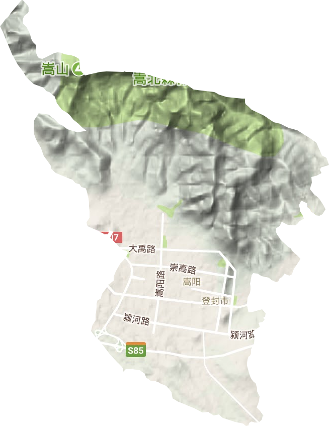 嵩陽街道地形圖