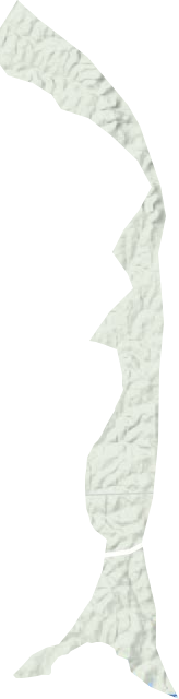 盤石嶺林場地形圖