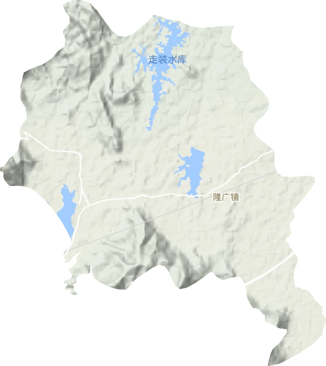 隆廣鎮(zhèn)地形圖