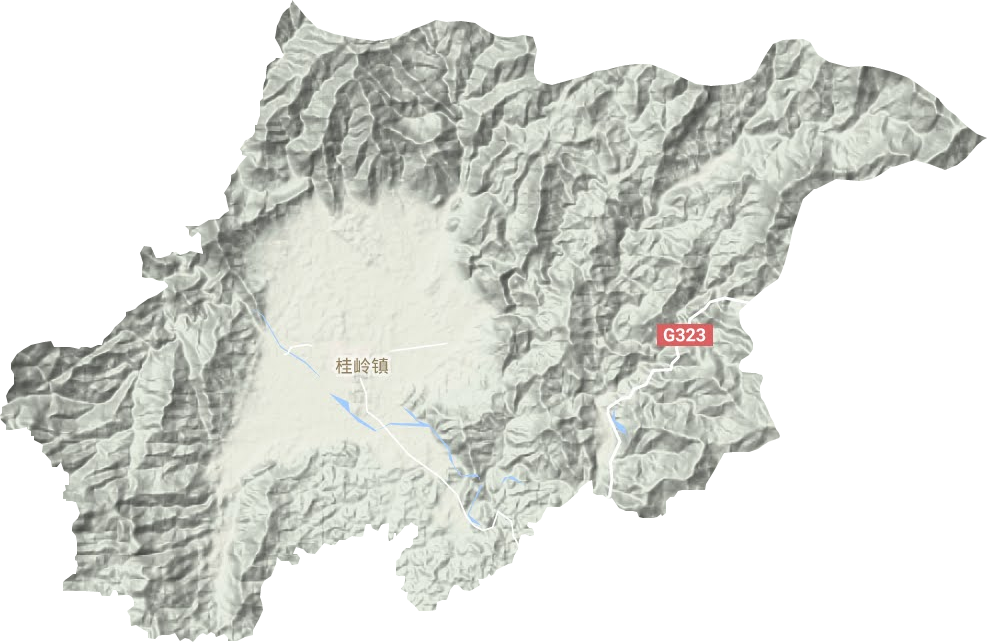 桂嶺鎮(zhèn)地形圖