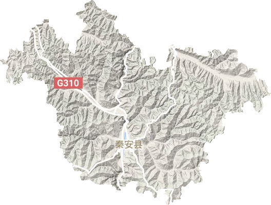 秦安縣地形圖