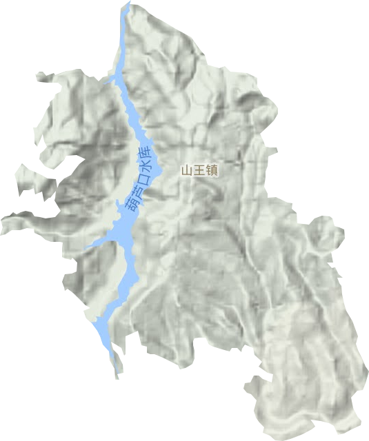山王鎮(zhèn)地形圖