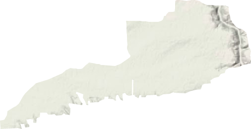 高明鎮(zhèn)地形圖