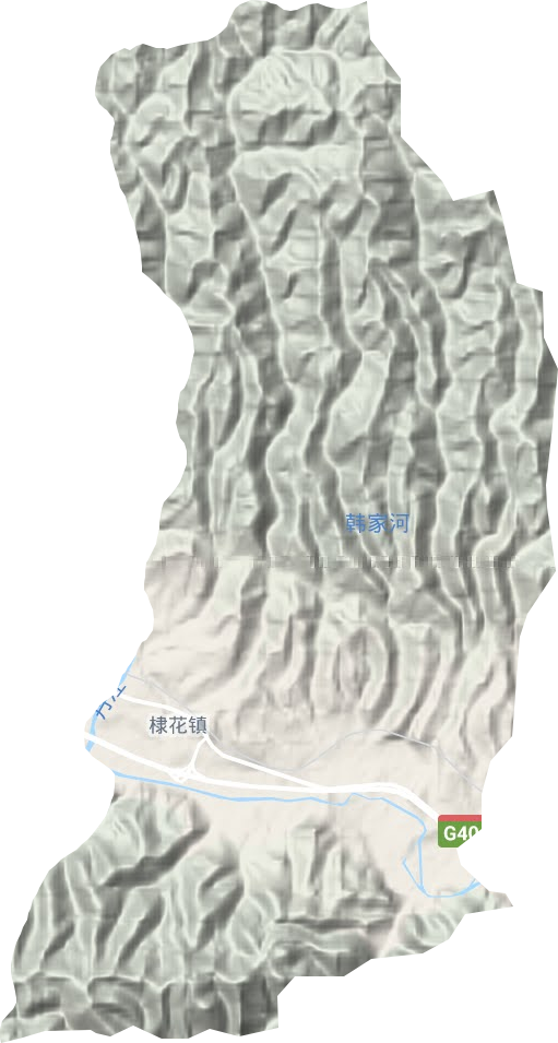 棣花鎮(zhèn)地形圖
