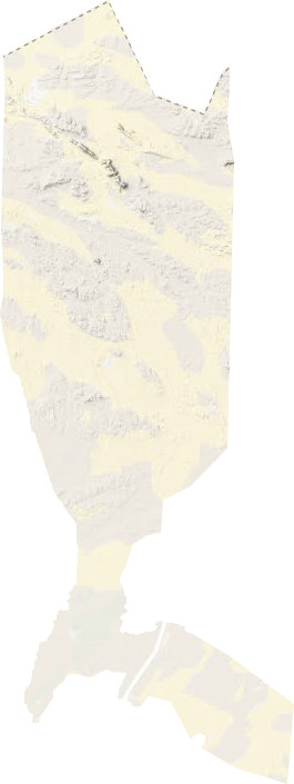 東壩鎮地形圖