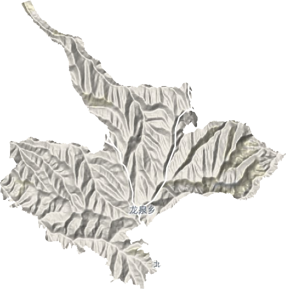 龍泉鄉(xiāng)地形圖