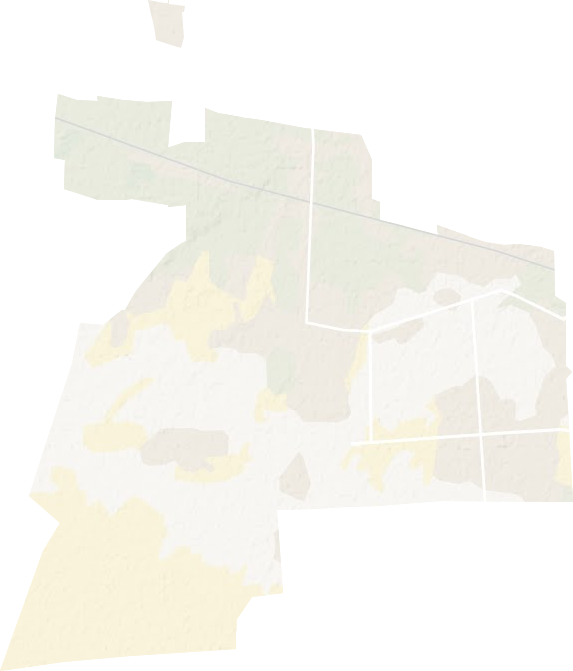 兵團(tuán)紅星二場地形圖