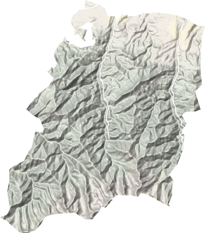 山區(qū)林場地形圖