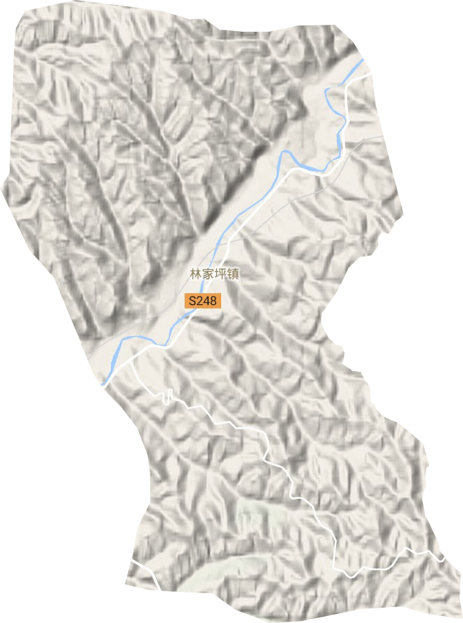 林家坪鎮(zhèn)地形圖