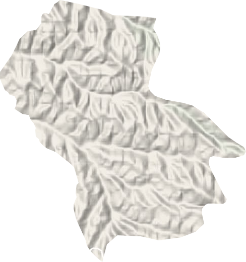 招賢鎮地形圖