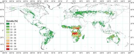全球首幅全球30米分辨率火燒跡地分布圖